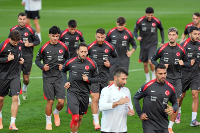 A Milli Futbol Takımı'nın rakibi Gürcistan