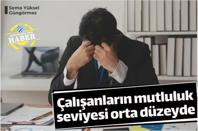 Çalışanların mutluluk seviyesi orta düzeyde