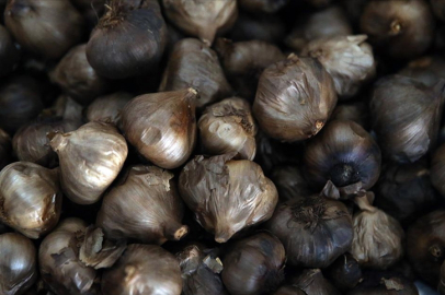 Coğrafi işaretli Taşköprü sarımsağından üretilen siyah sarımsak 6 ülkeye ihraç ediliyor