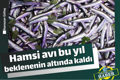 Hamsi avı bu yıl beklenenin altında kaldı