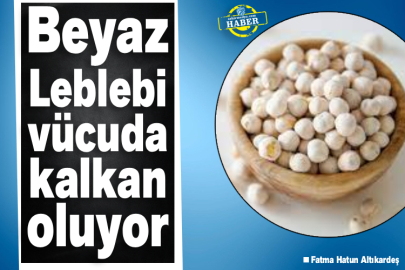 Beyaz Leblebi Vücuda Kalkan Oluyor