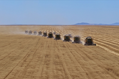 Bütçeden tarımsal desteklere 168 milyar lira ayrıldı