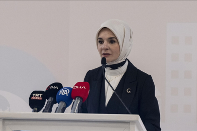 "Türkiye'de Bakım Ekonomisinin Dönüştürücü Büyümesi için BM Ortak Programı Kapanış Toplantısı" gerçekleşti