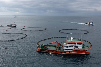 Karadeniz su ürünleri ihracatından 9 ayda 278,7 milyon dolar kazandı