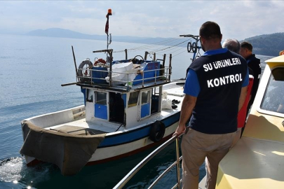 Su ürünleri denetiminde 10 ayda 127 milyon lira ceza kesildi