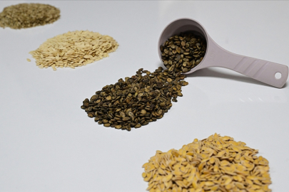 Güneydoğu'dan Afrika'ya hububat ihracatı yüzde 18,9 arttı