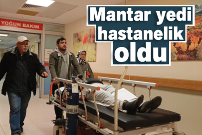 Mantar yedi hastanelik oldu