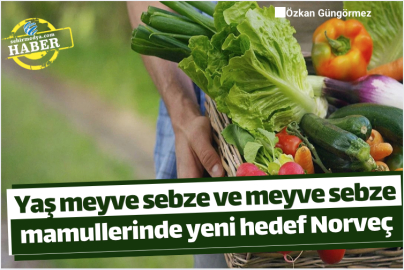Yaş meyve sebze ve meyve sebze mamullerinde yeni hedef Norveç