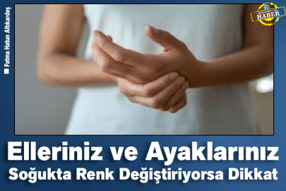 Elleriniz ve Ayaklarınız Soğukta Renk Değiştiriyorsa Dikkat