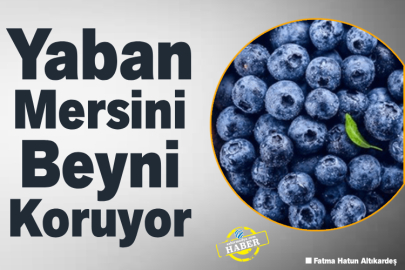 Yaban Mersini Beyni Koruyor