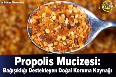 Propolis Mucizesi: Bağışıklığı Destekleyen Doğal Koruma Kaynağı