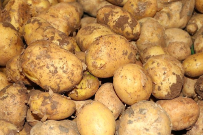 Ticaret Bakanlığından patates fiyatlarına ilişkin açıklama