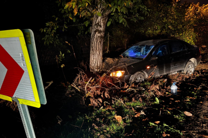 Kontrolden çıkan otomobil ağaca çarptı: 3 kişi yaralandı