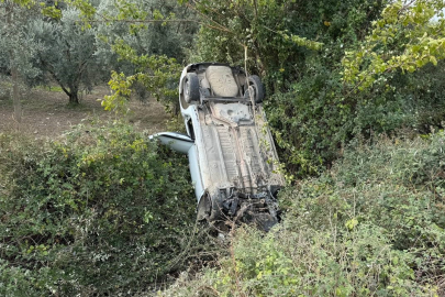 Sollama yaparken zeytinliğe uçtu
