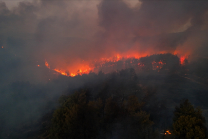 Minibüste başlayıp ormanlık alana sıçrayan yangınla ilgili 4 sanığa hapis istemi