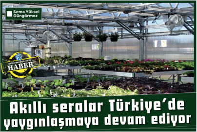 Akıllı seralar Türkiye’de yaygınlaşmaya devam ediyor