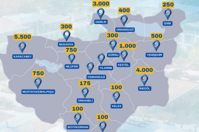 Aslan payı Karacabey, Gemlik ve İnegöl’ün