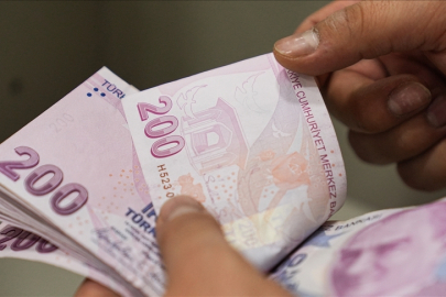 Bireysel Emeklilik Sistemi'nde gönüllü katılımcı sayısı 10 milyonu aştı