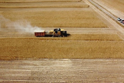 Çiftçilere 1,5 milyar liralık tarımsal destekleme ödemesi bugün yapılacak