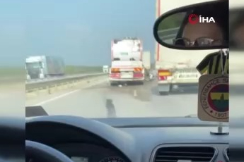 Süt tankeri tıra çarptı: 1 yaralı