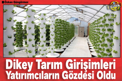 Dikey Tarım Girişimleri Yatırımcıların Gözdesi Oldu