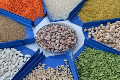 Türkiye'nin hububat, bakliyat, yağlı tohumlar ihracatı 10 ayda 10 milyar doları aştı