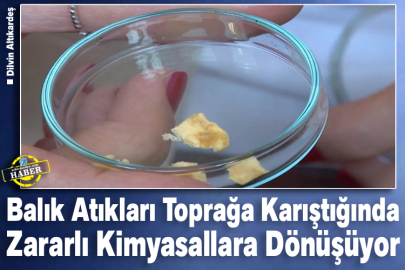 Balık Atıkları Toprağa Karıştığında Zararlı Kimyasallara Dönüşüyor  