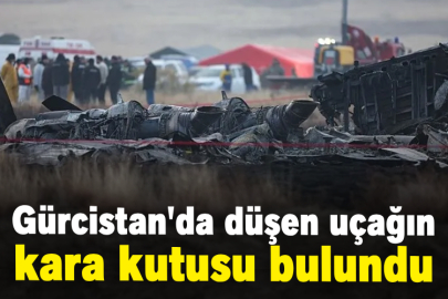 Gürcistan'da düşen uçağın kara kutusu bulundu