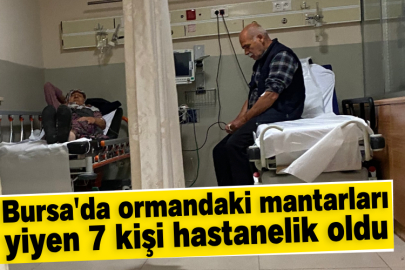 Bursa'da ormandaki mantarları yiyen 7 kişi hastanelik oldu