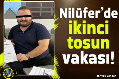 Nilüfer’de ikinci tosun vakası!