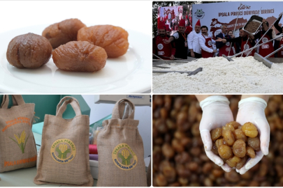 Bursa kestane şekeri ve İpsala pirinci AB'den coğrafi işaret tescili aldı