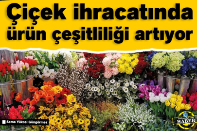 Çiçek ihracatında ürün çeşitliliği artıyor