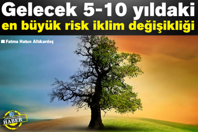 Gelecek 5-10 yıldaki en büyük risk iklim değişikliği