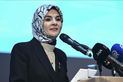 Kadına Yönelik Şiddetle Mücadele V. Ulusal Eylem Planı 25 Kasım'da açıklanacak