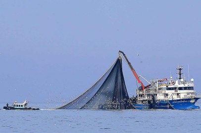 Su sıcaklığının düşmediği Karadeniz'de hamsi soğuk sulara yöneldi