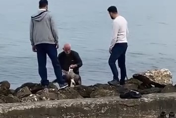 Mudanya sahilinde oltaya takılan martıyı vatandaş kurtardı