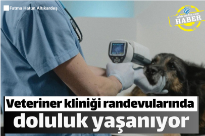 Veteriner kliniği randevularında doluluk yaşanıyor
