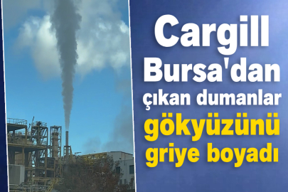 Cargill Bursa'dan çıkan dumanlar gökyüzünü griye boyadı