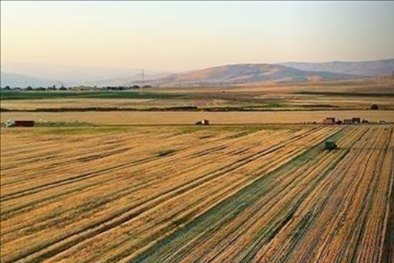 Azalan su kaynakları tarımda hem verimi hem de kaliteyi etkiliyor