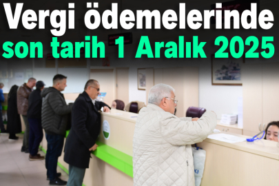 Vergi ödemelerinde son tarih 1 Aralık 2025