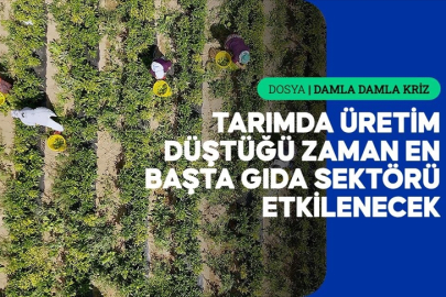 Kuraklığın etkileri tarladan fabrikaya, fabrikadan sofraya uzanıyor
