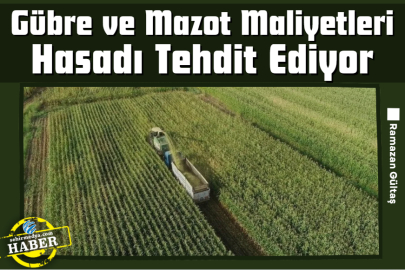 Gübre ve Mazot Maliyetleri Hasadı Tehdit Ediyor
