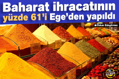 Baharat ihracatının yüzde 61’i Ege’den yapıldı