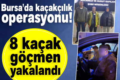 Bursa'da kaçakçılık operasyonu! 8 kaçak göçmen yakalandı