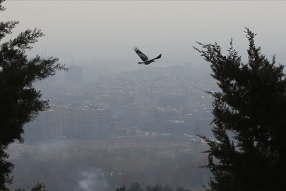 İran, hava kirliliğinin önlenmesi amacıyla Euro 5 benzin üretimini artırmayı hedefliyor