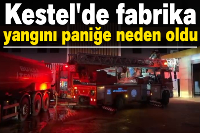 Kestel'de fabrika yangını paniğe neden oldu