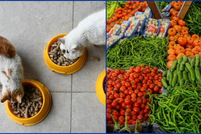 Kasımda fiyatı en çok artan evcil hayvanlarla ilgili ürünler, en fazla düşen taze sebzeler oldu