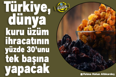 Türkiye, dünya kuru üzüm ihracatının yüzde 30’unu tek başına yapacak