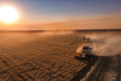 Üreticilere IPARD-III Programı kapsamında kasım döneminde 376,8 milyon lira ödendi