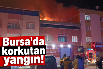 Bursa'da korkutan yangın!